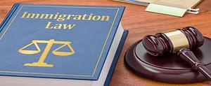 immigration law
